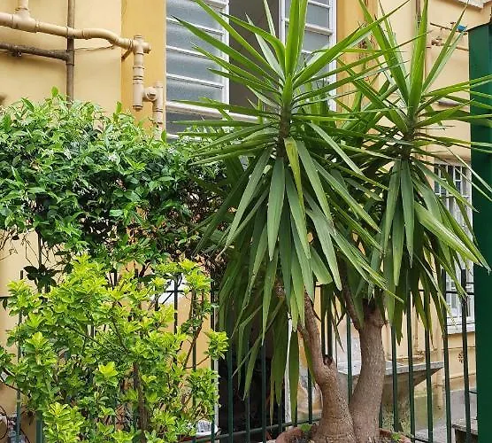 Jubilee 3 Luxury In Vatican *